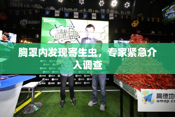 胸罩内发现寄生虫，专家紧急介入调查