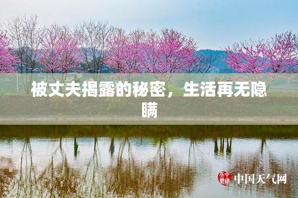 被丈夫揭露的秘密，生活再无隐瞒