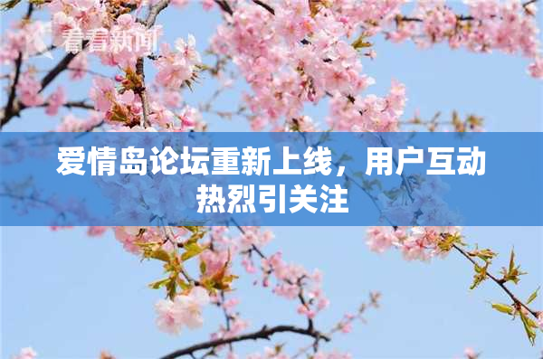 爱情岛论坛重新上线，用户互动热烈引关注