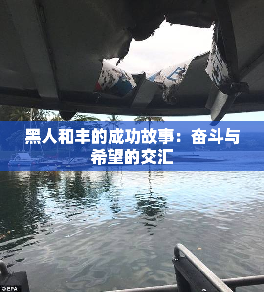 黑人和丰的成功故事：奋斗与希望的交汇