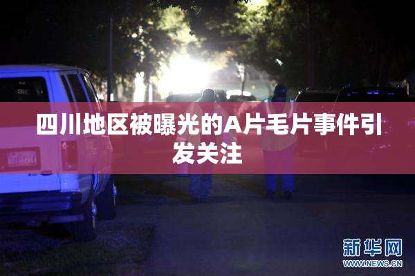 四川地区被曝光的A片毛片事件引发关注