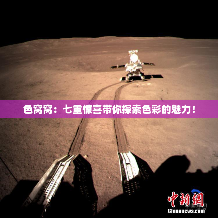 色窝窝：七重惊喜带你探索色彩的魅力！