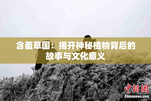 含羞草国：揭开神秘植物背后的故事与文化意义