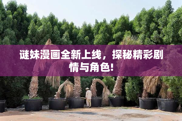 谜妹漫画全新上线，探秘精彩剧情与角色!