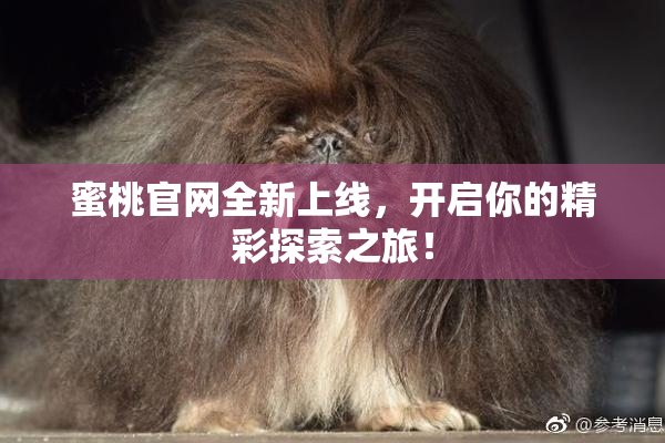 蜜桃官网全新上线，开启你的精彩探索之旅！