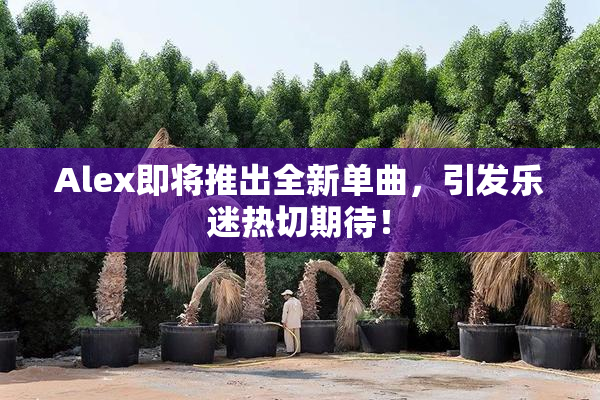 Alex即将推出全新单曲，引发乐迷热切期待！