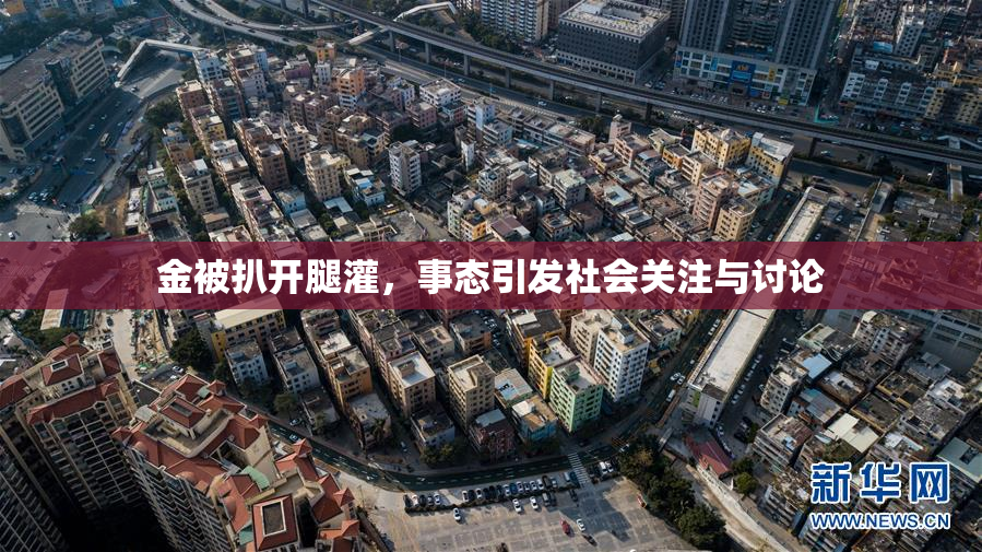 金被扒开腿灌，事态引发社会关注与讨论
