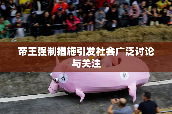 帝王强制措施引发社会广泛讨论与关注
