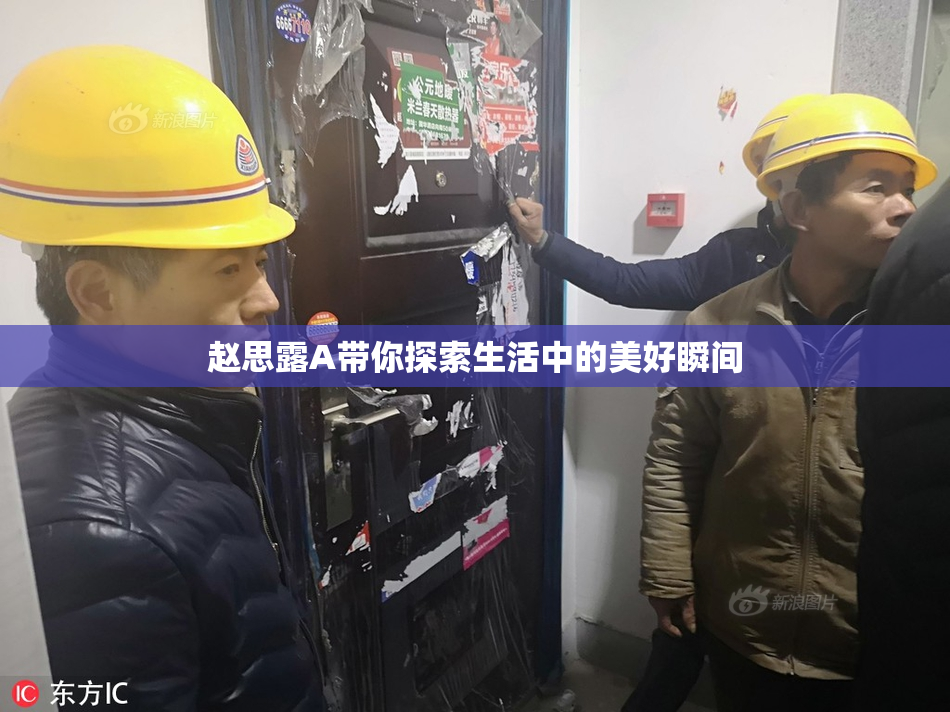 赵思露A带你探索生活中的美好瞬间
