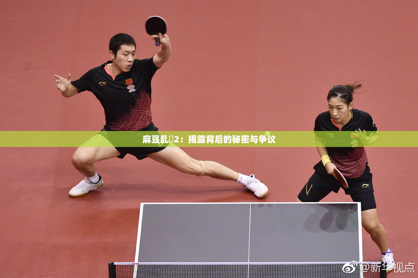 麻豆乱婬2：揭露背后的秘密与争议