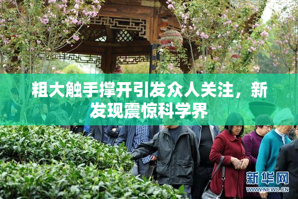 粗大触手撑开引发众人关注，新发现震惊科学界