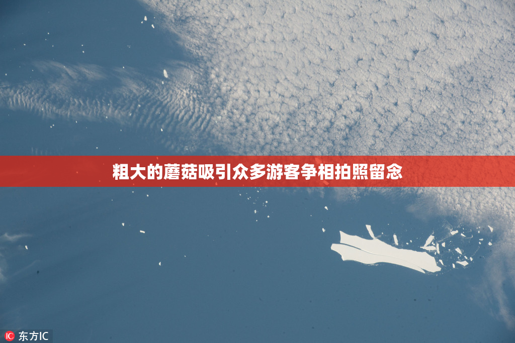 粗大的蘑菇吸引众多游客争相拍照留念