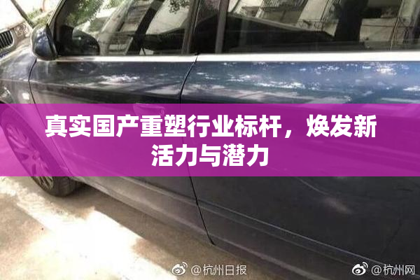 真实国产重塑行业标杆，焕发新活力与潜力