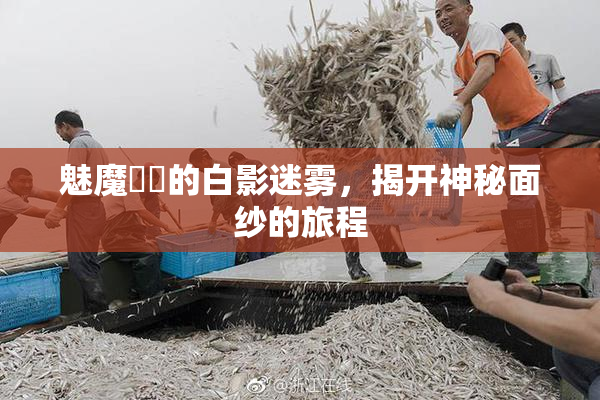 魅魔妺妺的白影迷雾，揭开神秘面纱的旅程