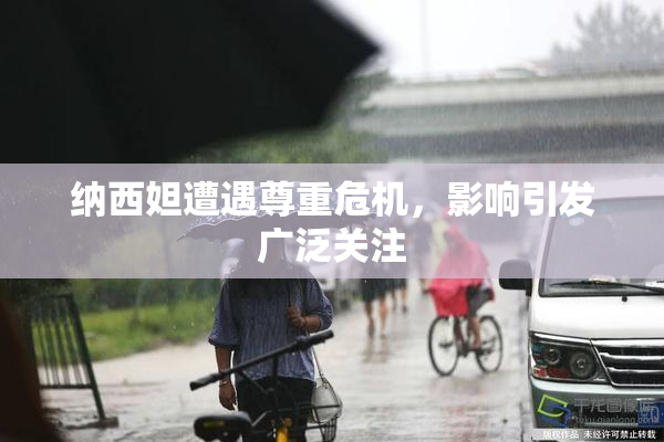 纳西妲遭遇尊重危机，影响引发广泛关注