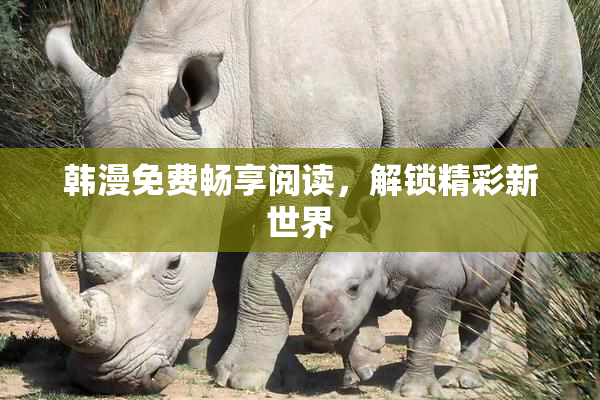 韩漫免费畅享阅读，解锁精彩新世界