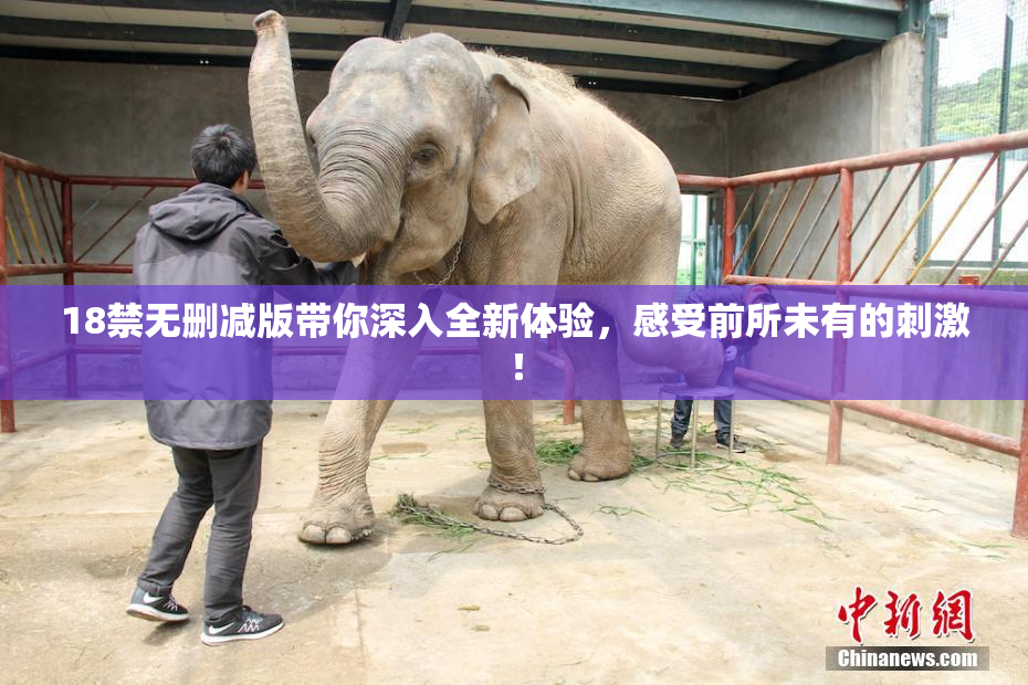 18禁无删减版带你深入全新体验，感受前所未有的刺激！