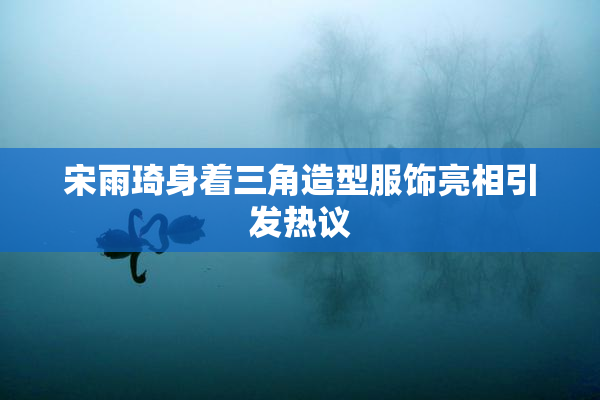 宋雨琦身着三角造型服饰亮相引发热议