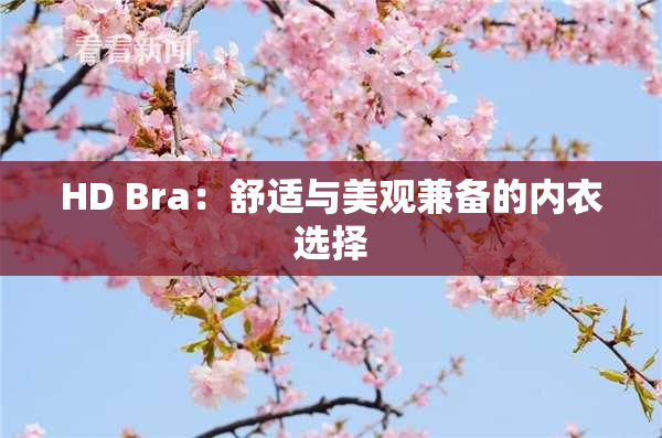 HD Bra：舒适与美观兼备的内衣选择