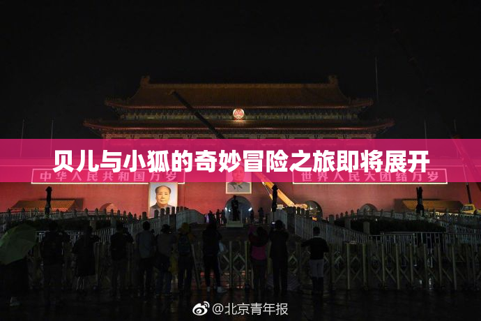 贝儿与小狐的奇妙冒险之旅即将展开