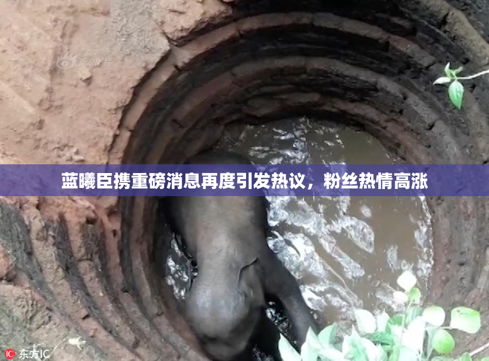 蓝曦臣携重磅消息再度引发热议，粉丝热情高涨