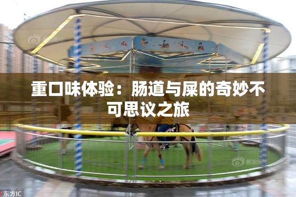 重口味体验：肠道与屎的奇妙不可思议之旅