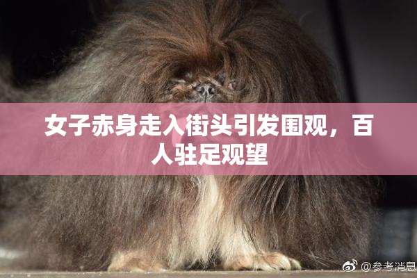 女子赤身走入街头引发围观，百人驻足观望