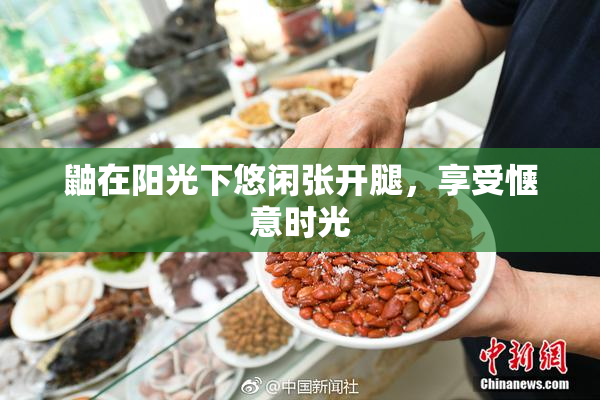 鼬在阳光下悠闲张开腿，享受惬意时光