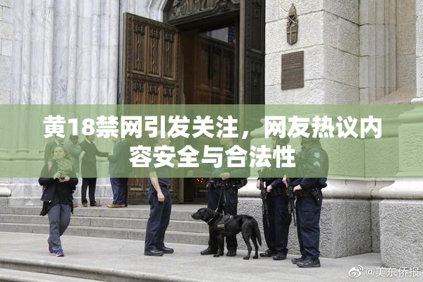 黄18禁网引发关注，网友热议内容安全与合法性