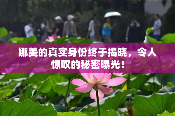 娜美的真实身份终于揭晓，令人惊叹的秘密曝光！