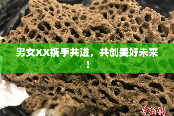 男女XX携手共进，共创美好未来！