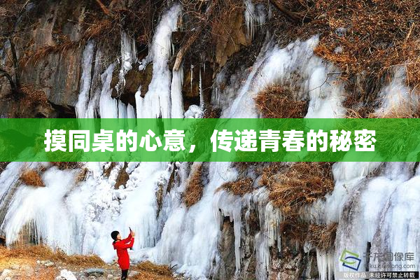 摸同桌的心意，传递青春的秘密