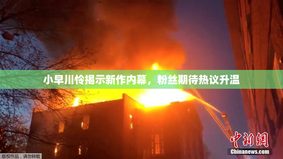 小早川怜揭示新作内幕，粉丝期待热议升温