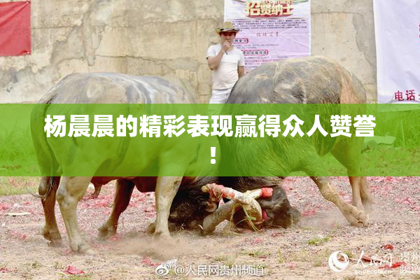 杨晨晨的精彩表现赢得众人赞誉！