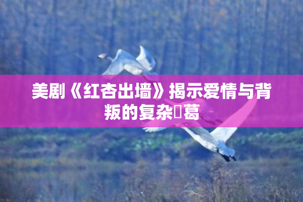 美剧《红杏出墙》揭示爱情与背叛的复杂糾葛