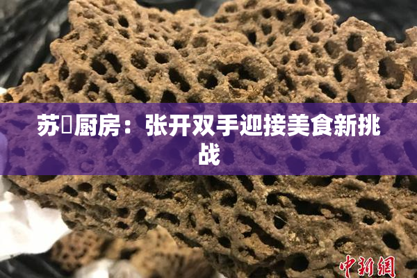 苏玥厨房：张开双手迎接美食新挑战
