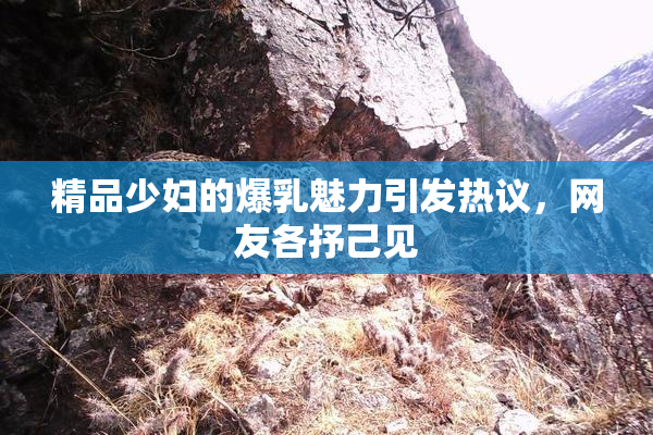 精品少妇的爆乳魅力引发热议，网友各抒己见