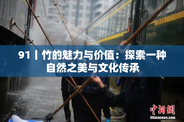 91丨竹的魅力与价值：探索一种自然之美与文化传承