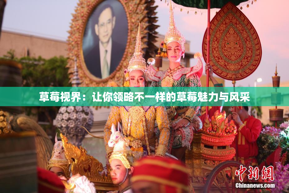 草莓视界：让你领略不一样的草莓魅力与风采