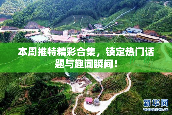 本周推特精彩合集，锁定热门话题与趣闻瞬间！