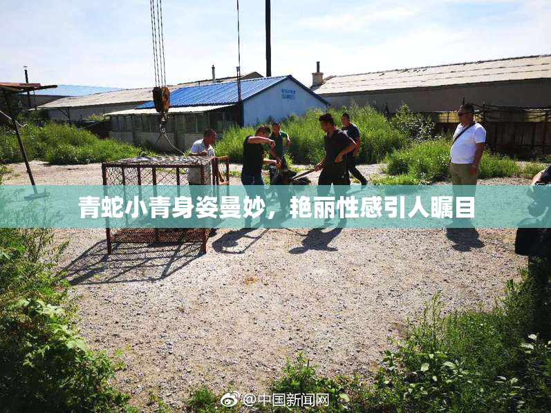 青蛇小青身姿曼妙，艳丽性感引人瞩目