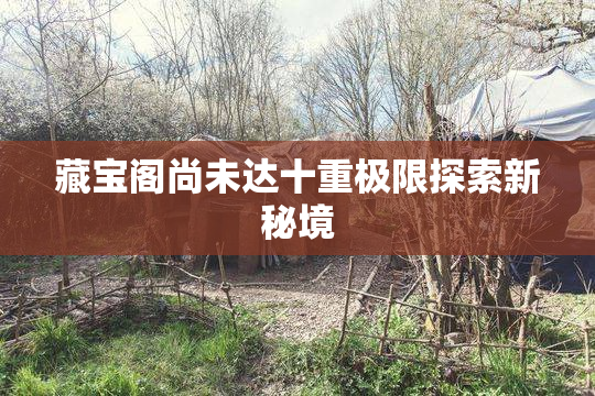 藏宝阁尚未达十重极限探索新秘境