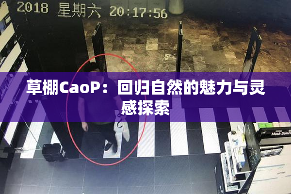 草棚CaoP：回归自然的魅力与灵感探索