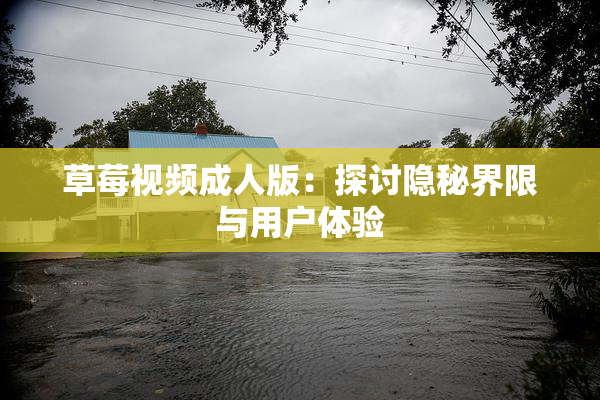 草莓视频成人版：探讨隐秘界限与用户体验