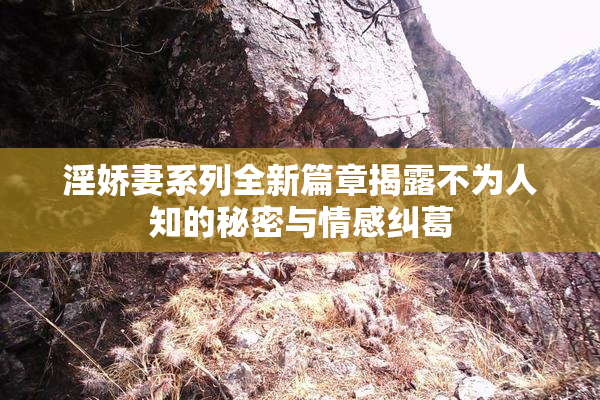 淫娇妻系列全新篇章揭露不为人知的秘密与情感纠葛
