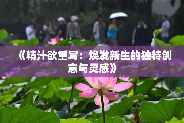 《精汁欲重写：焕发新生的独特创意与灵感》
