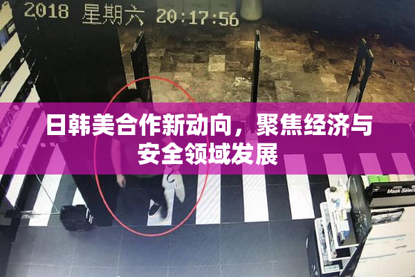 日韩美合作新动向，聚焦经济与安全领域发展