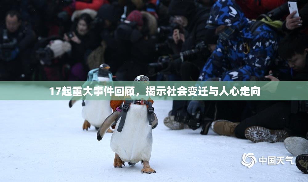17起重大事件回顾，揭示社会变迁与人心走向