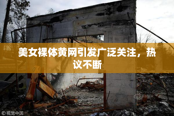 美女裸体黄网引发广泛关注，热议不断