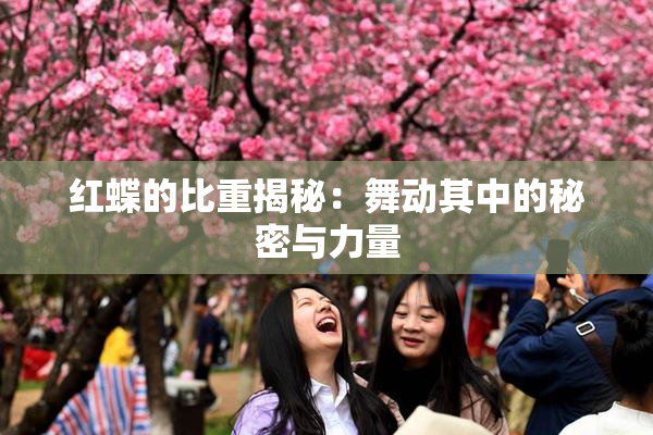 红蝶的比重揭秘：舞动其中的秘密与力量